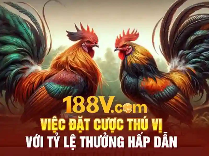Tổng quan chủ đề và giá trị cốt lõi của code 188v mới nhất