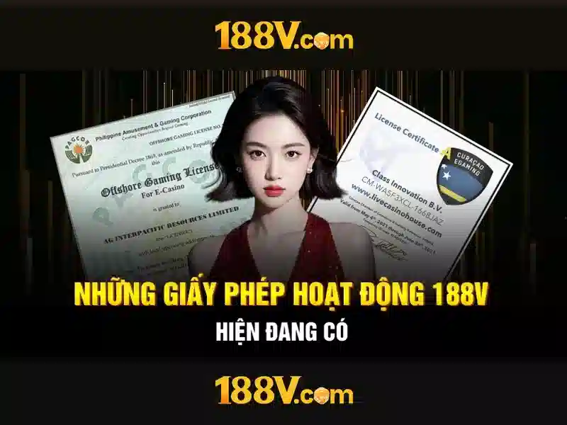 Trải nghiệm người dùng và phản hồi từ cộng đồng