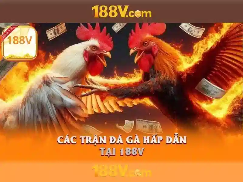 Khám phá 188v