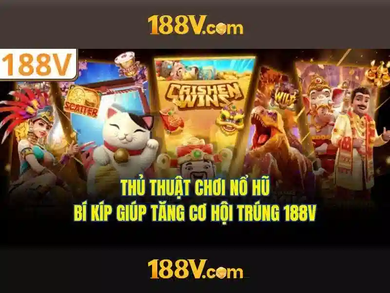 Trải nghiệm người dùng và phản hồi cộng đồng