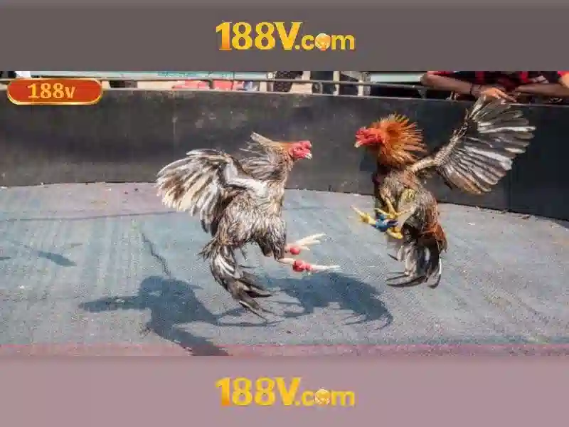 188v tải: khám phá nền tảng và 188v app