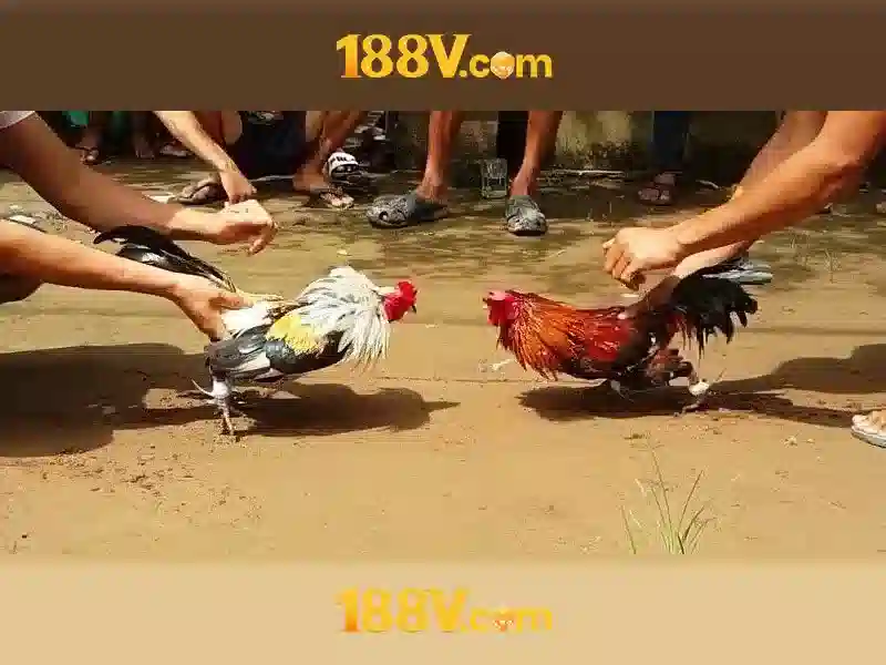 Trai nghiem nguoi dung 188v 