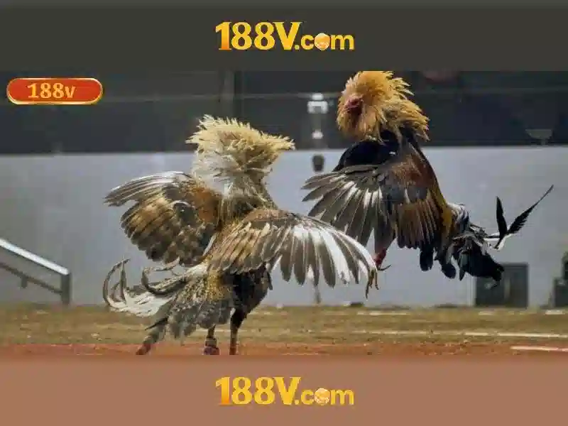 Khái niệm và đặc điểm của 188V\n\n