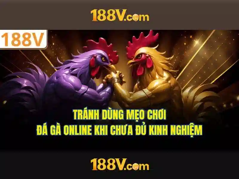 Ứng dụng và tác động của 188v