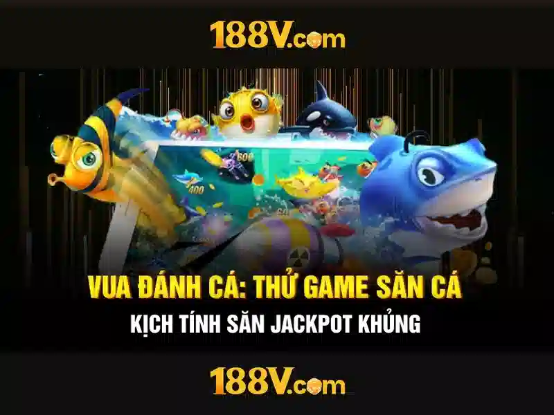 Phản hồi của người dùng và cộng đồng