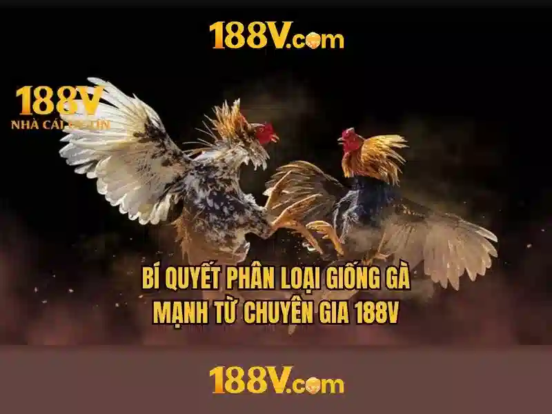 Khai niem 188v