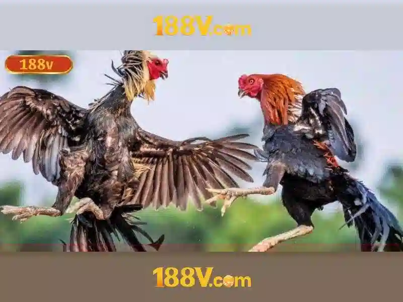 188v tải – Tổng quan chủ đề và giá trị cốt lõi