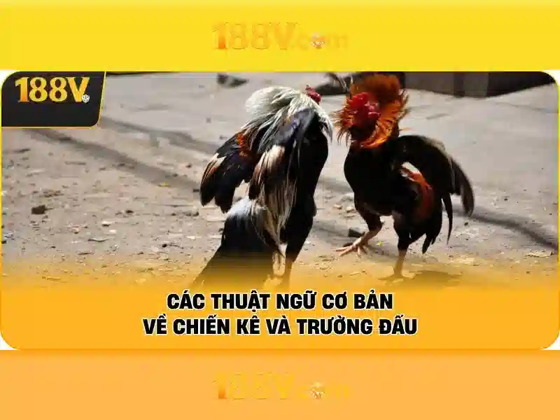 Mẹo chơi bắn cá 3 cây dễ ăn tiền nhà cái