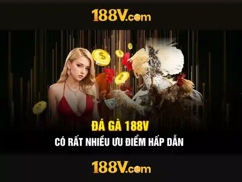 Kết luận và tương lai