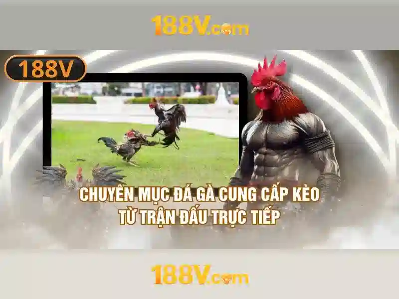 Lưu ý an toàn và vận hành