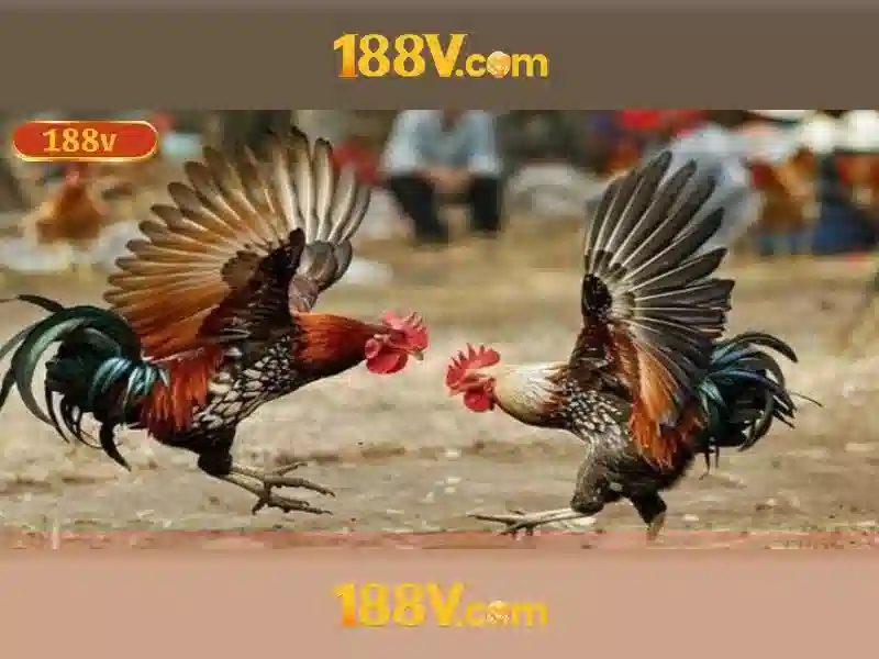 188V: Hành trình qua ngã rẽ ánh sáng