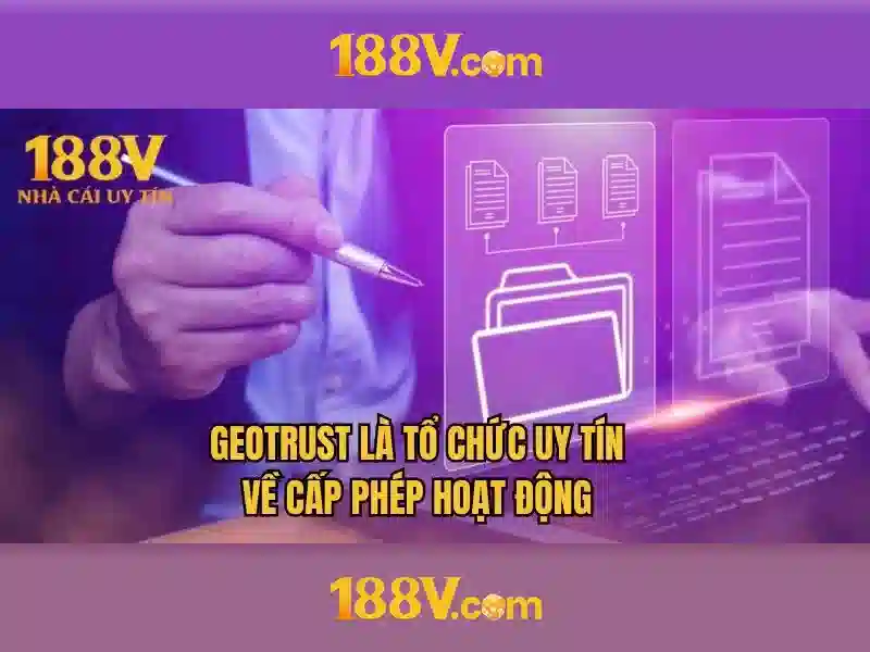 Trải nghiệm người dùng và phản hồi từ cộng đồng