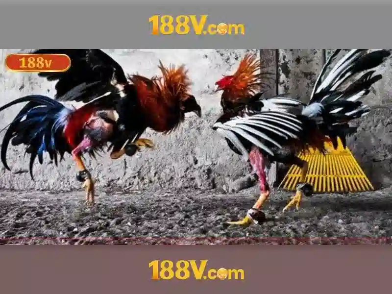 Khó khăn và thách thức