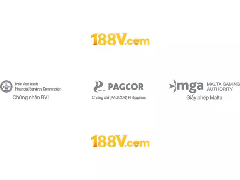 Tổng quan chủ đề và giá trị cốt lõi