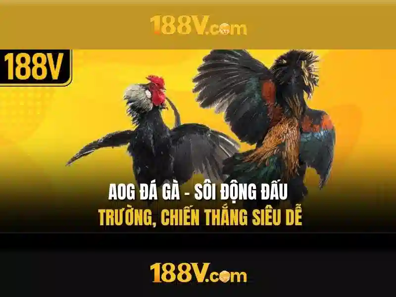 Nguồn gốc và ý nghĩa của 188v\n\n