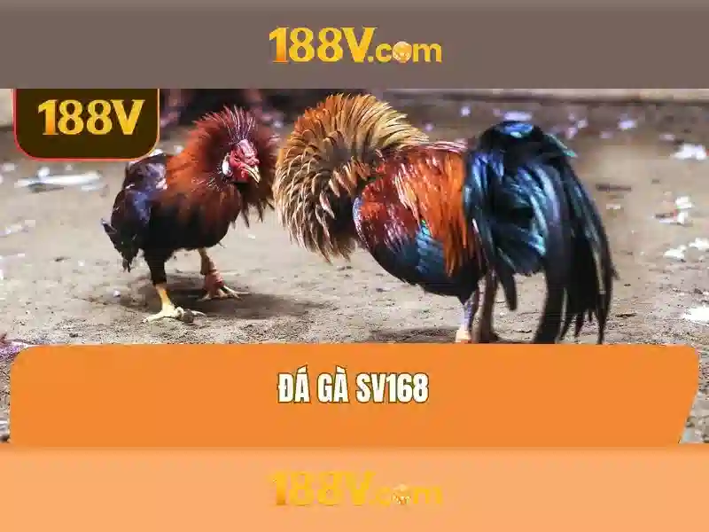 Ứng dụng và các lưu ý an toàn