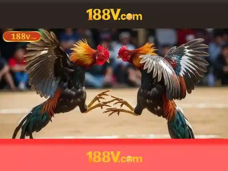 188v: một khái niệm công nghệ và cuộc sống