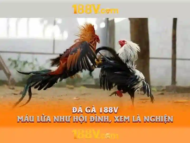 Mẹo chơi bắn cá 3 cây dễ ăn tiền nhà cái