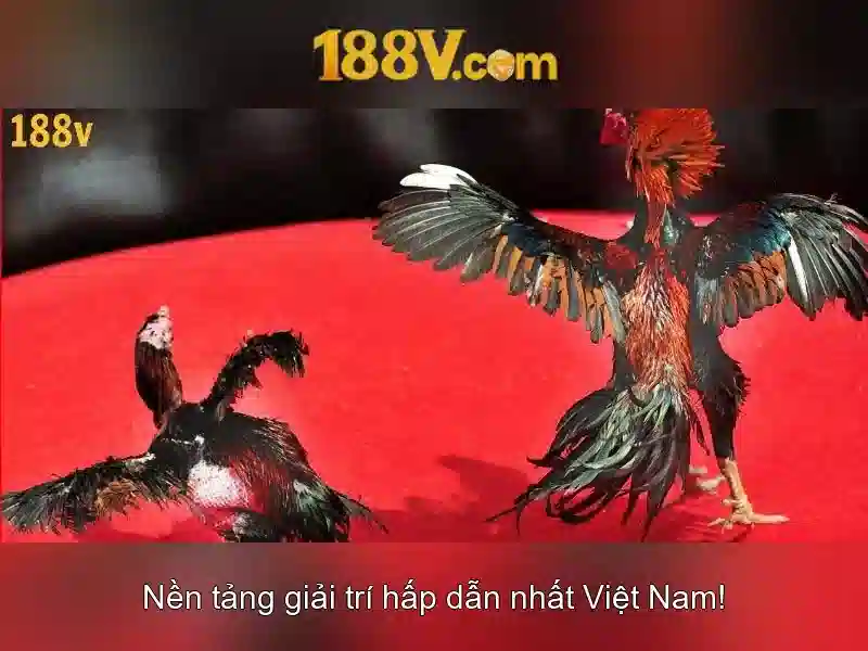 Ý nghĩa của 188v trong công nghệ\n