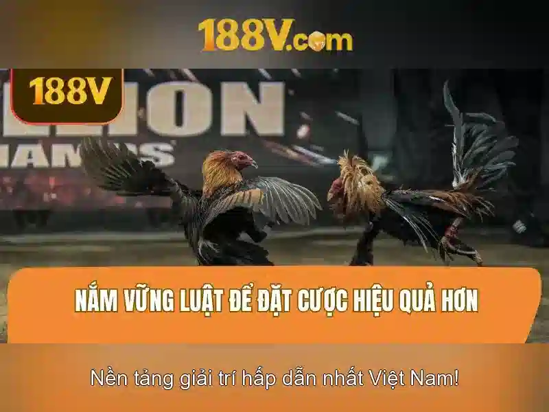 188V: Ý nghĩa và nguồn gốc\n