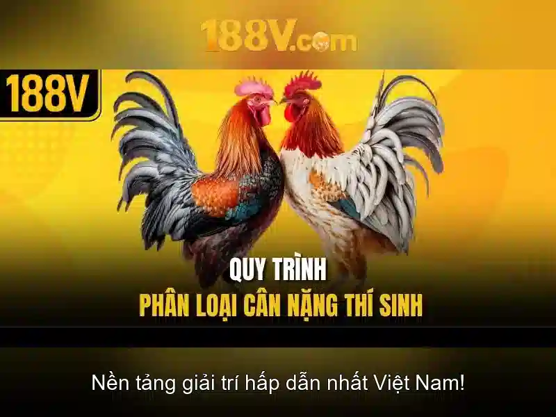 So sánh 188V với các mức điện áp phổ biến