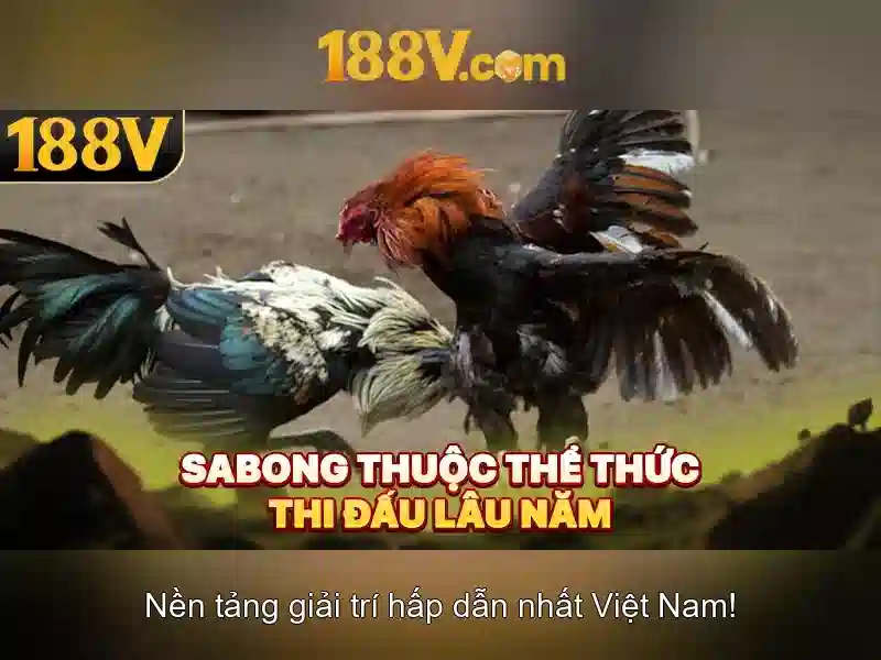 Nguồn gốc của 188v