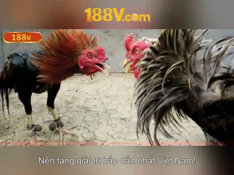 188v win – Trải nghiệm và đánh giá nền tảng nổ hũ trực tuyến