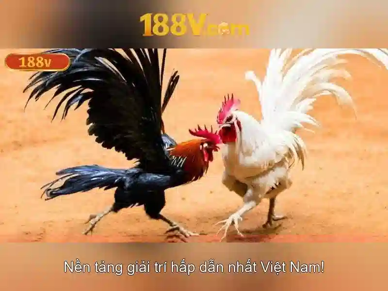 188V: Hiểu về điện áp 188 volt và ứng dụng