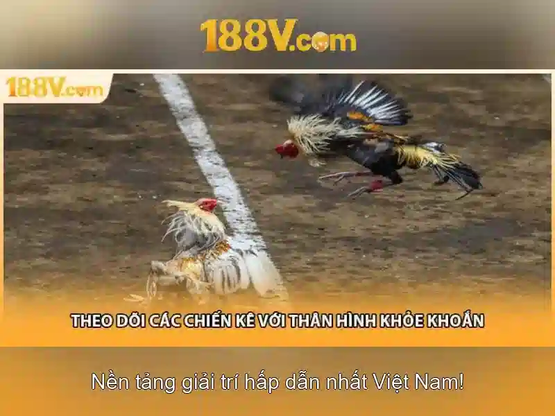 Khái niệm cơ bản về 188V\n