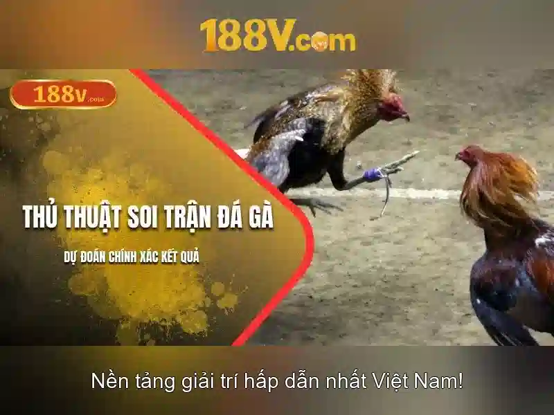 Nguyên lý nền tảng của 188v\n