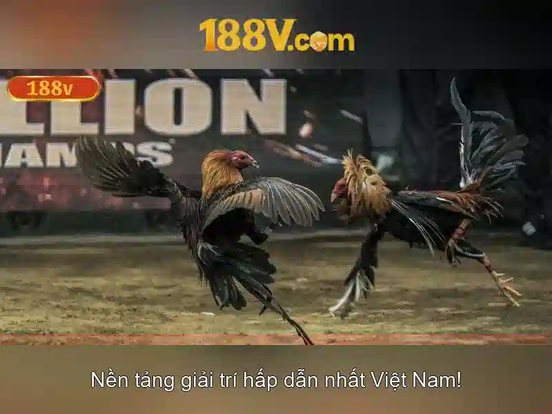 Kết luận