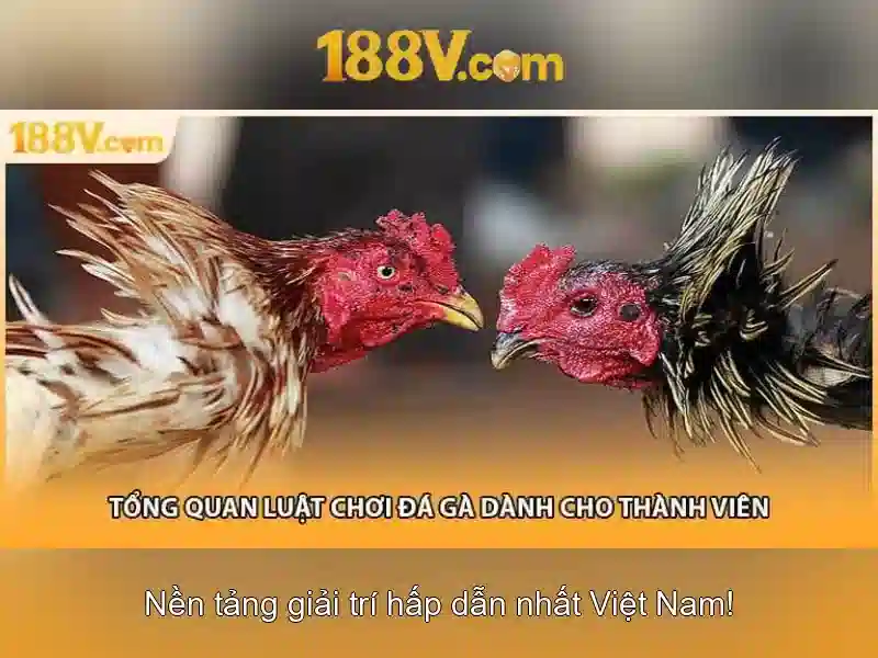 188v: Chân trời của một khái niệm mới