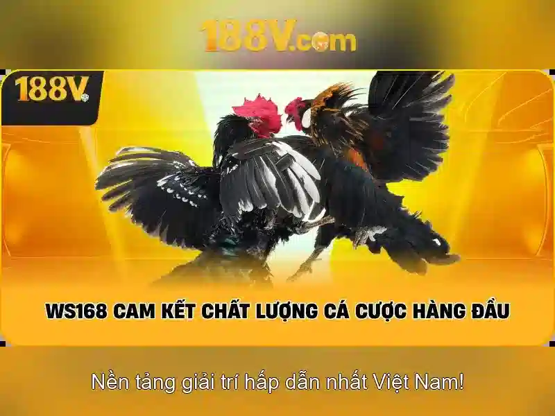 Những thách thức và ràng buộc