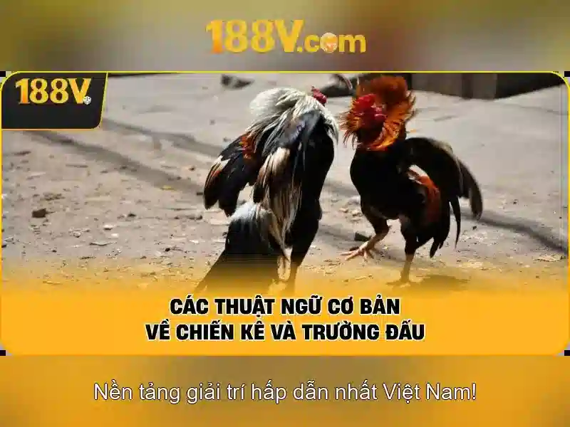 Thách thức và an toàn