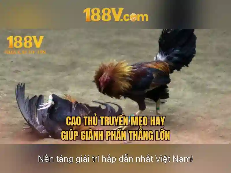 Khám phá 188v: một khái niệm và tiềm năng
