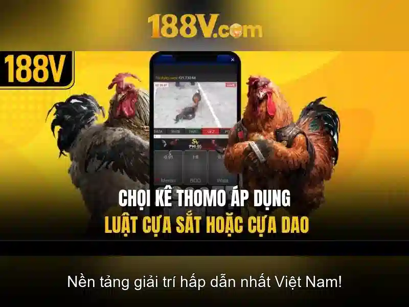 cá cược thể thao 188v – Trải nghiệm đỉnh cao và cộng đồng