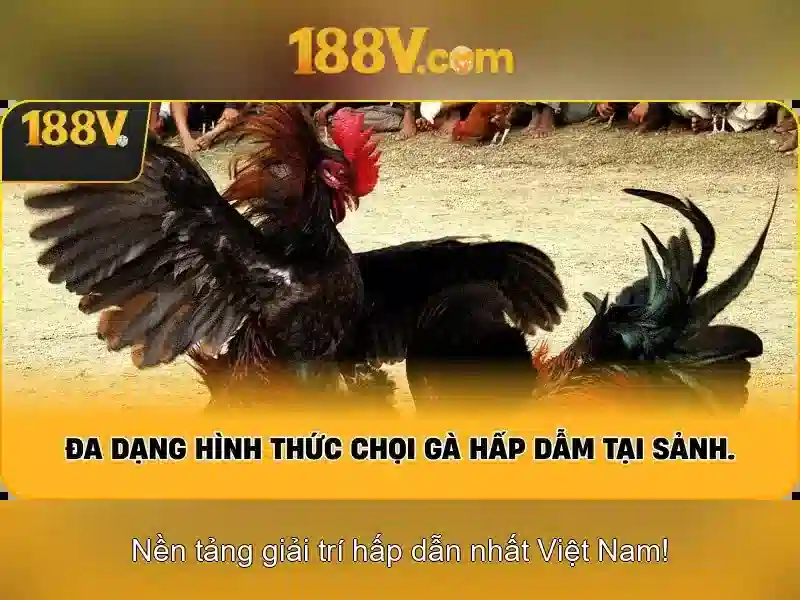 188v: hành trình khám phá một khái niệm số và nghệ thuật