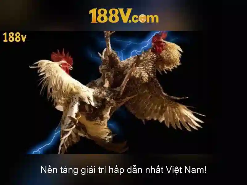 Nguồn gốc và ý nghĩa