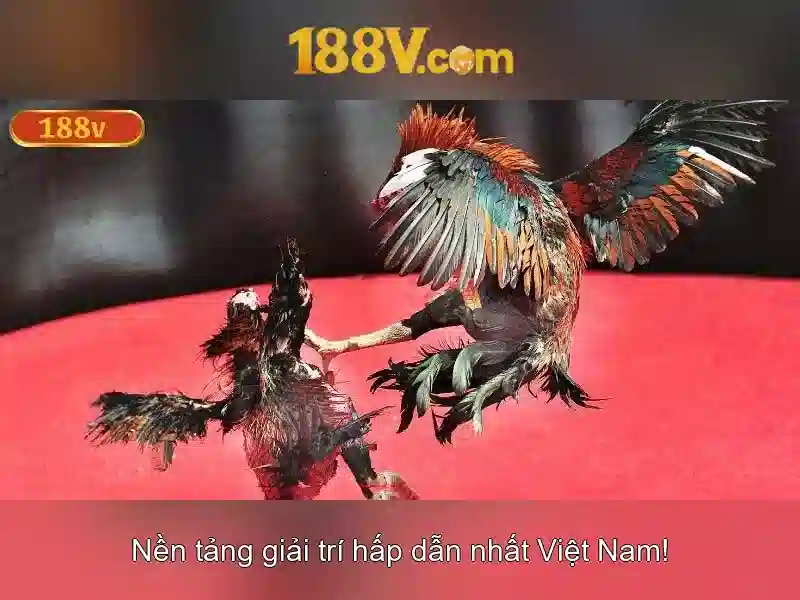 Âm thanh và hình ảnh của 188V
