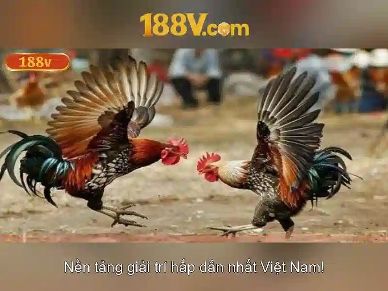 188v và cuộc hành trình công nghệ