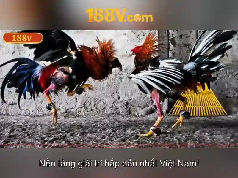 188v: Khai pha ky thuat dien ap 188 volt va tuong lai cua cong nghe