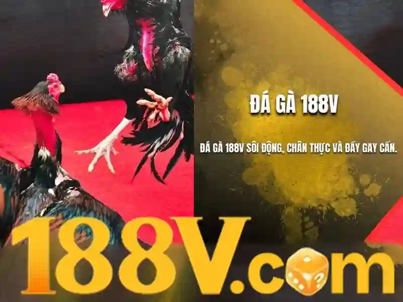 Áp dụng thực tiễn