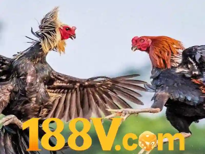 Mẹo chơi bắn cá 3 cây dễ ăn tiền nhà cái